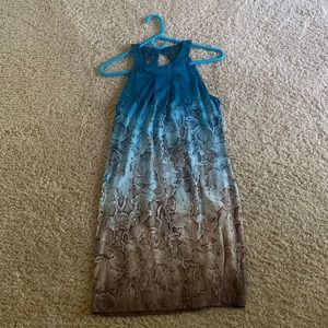 Knee length WHBM ombré dress